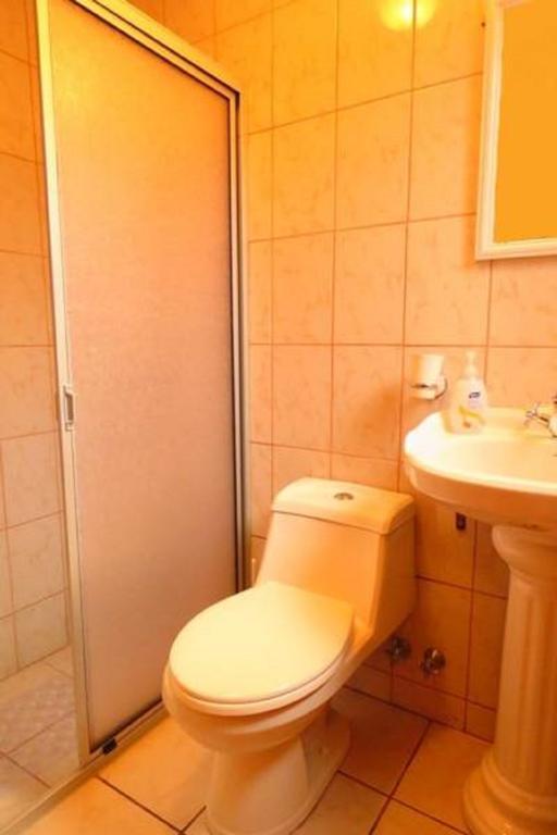Apart-Hotel Colonia-Koenigsberg Estacionamiento Deptos Completos Ubicado En El Centro De Valdivia Aire Acondicionado エクステリア 写真